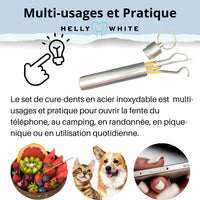 Helly White Kit d’hygiène dentaire pour le détartrage étui avec Cure-dents en inox et en bois, multiusage pic détartrage des dents nettoyage inter dentaire Vitorinox Elmex GUM  